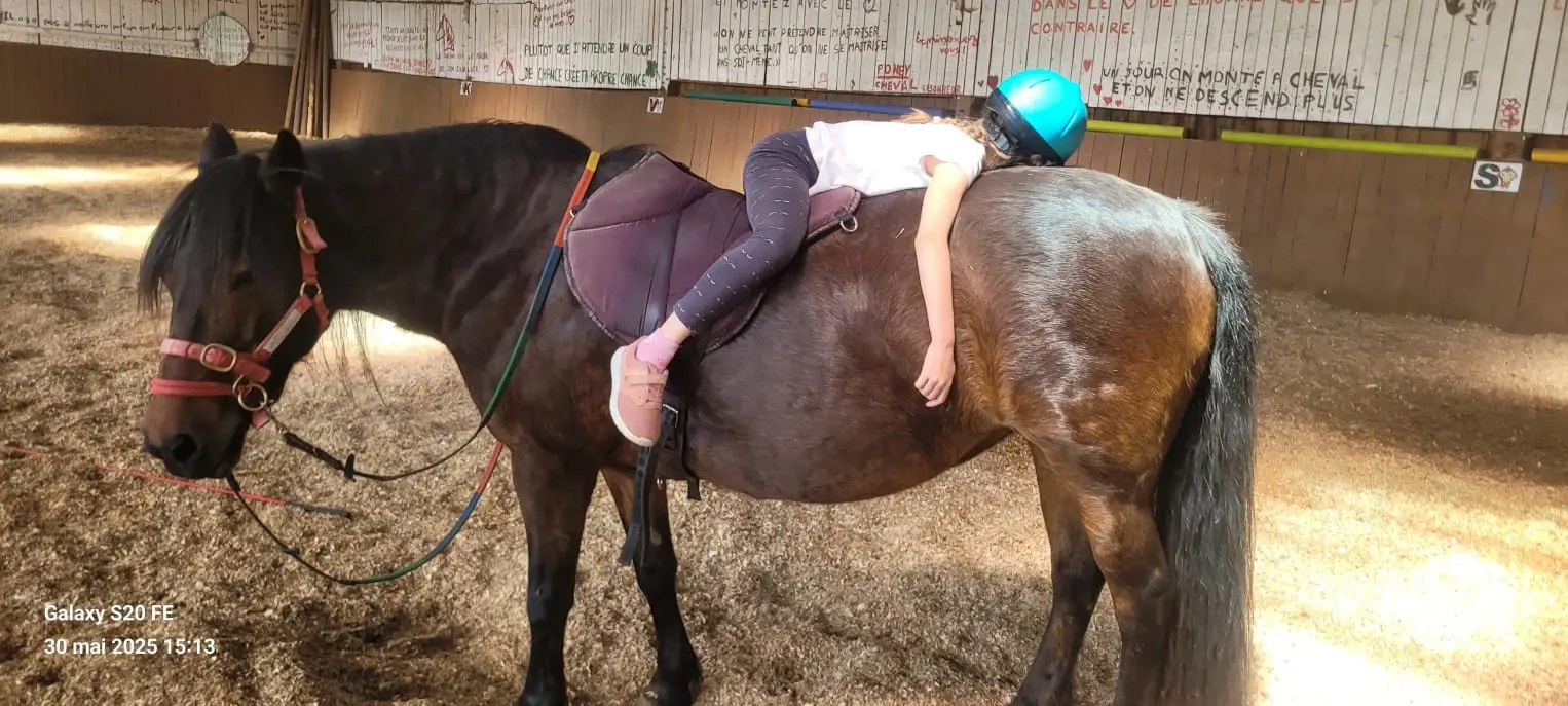Médiation équine au Clos Yakari